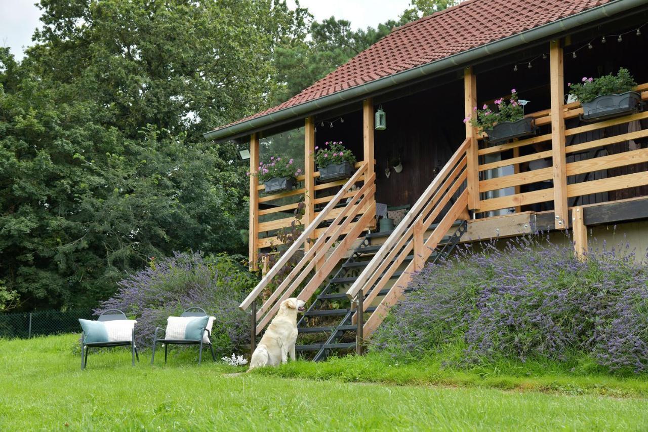 Le Chalet D'Eliot Chevigny  エクステリア 写真